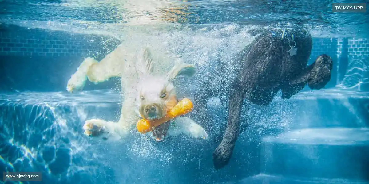 <strong>彩神</strong>🏓小球转动大梦想，每一拍都全力以赴！